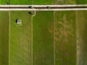 Ploughed field